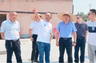 市領(lǐng)導(dǎo)對本司環(huán)保整治工作表示肯定